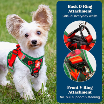 Step In No Pull Dog Harness