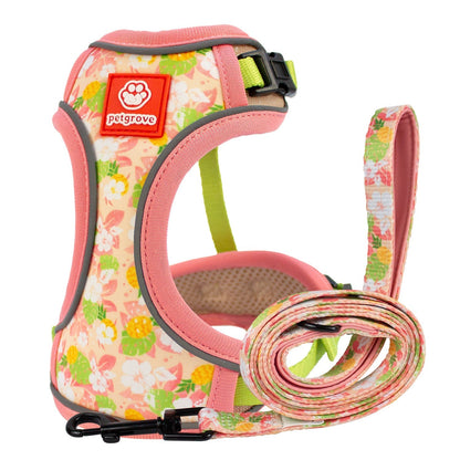 Cat Harness and Leash Set