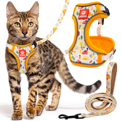 Cat Harness and Leash Set