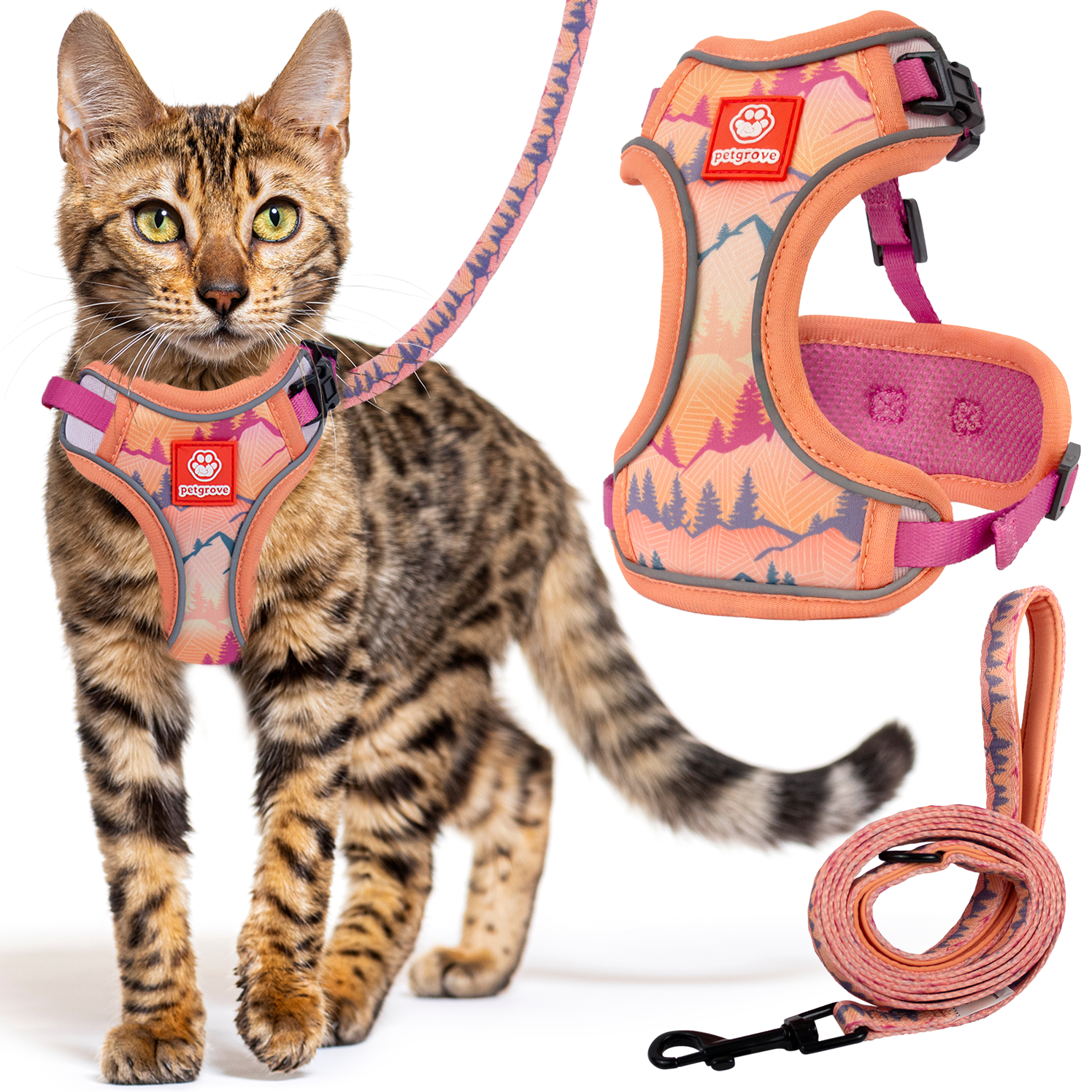 Cat Harness and Leash Set