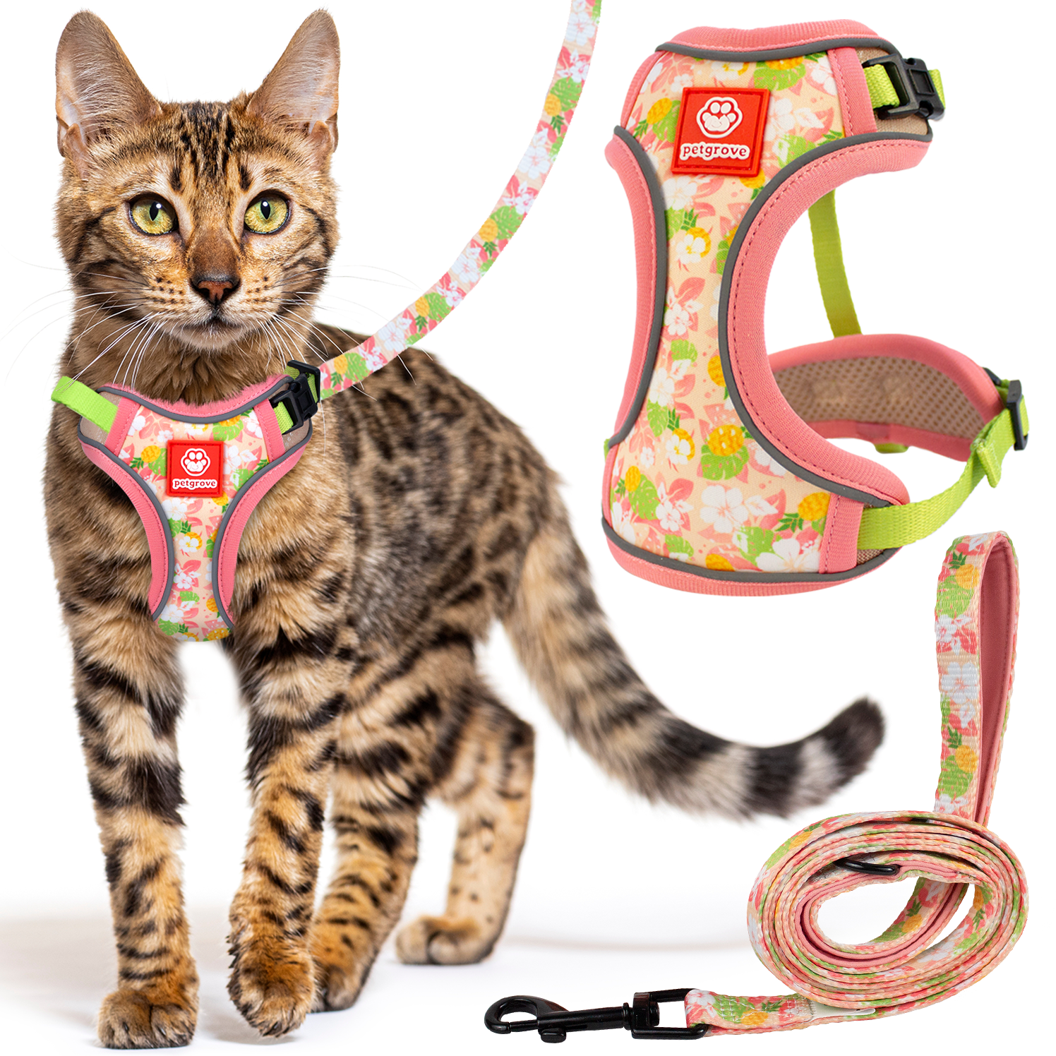 Cat Harness and Leash Set